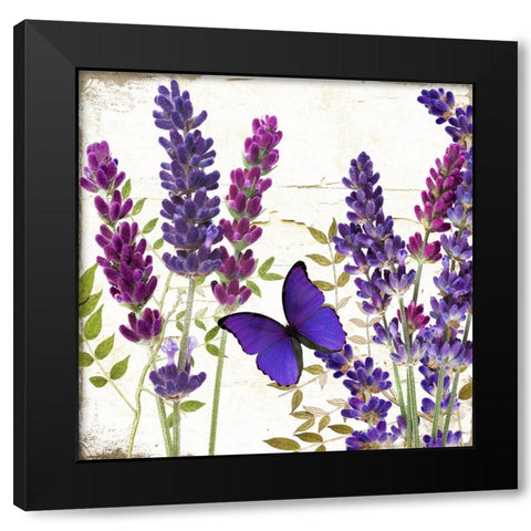 Lavande I Black Modern Wood Framed Art Print with Double Matting by Sasha