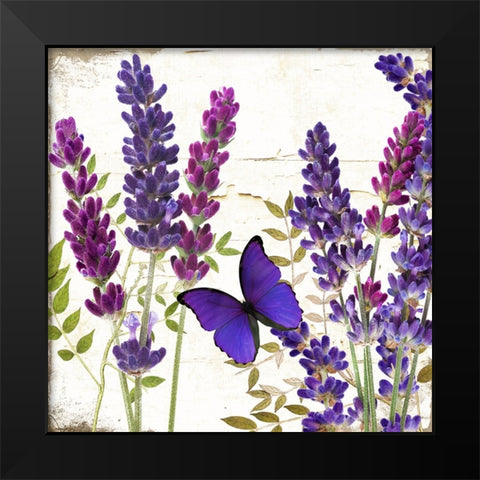 Lavande I Black Modern Wood Framed Art Print by Sasha