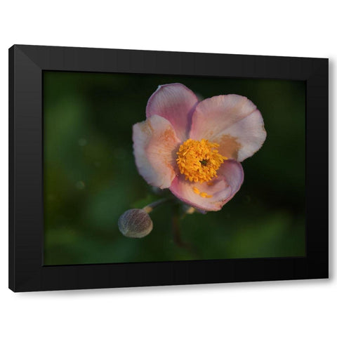 Hello World Black Modern Wood Framed Art Print by Bonin, Suzanne