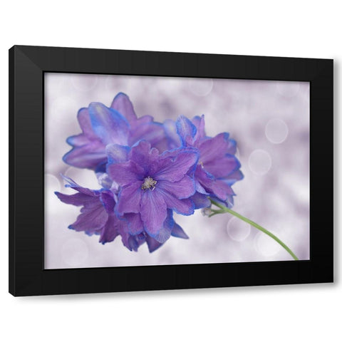 Pretty Me Black Modern Wood Framed Art Print with Double Matting by Bonin, Suzanne