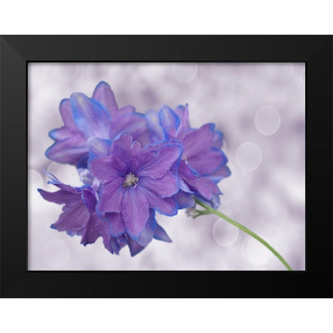 Pretty Me Black Modern Wood Framed Art Print by Bonin, Suzanne