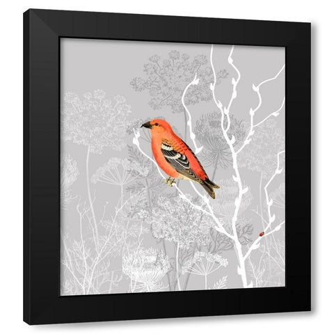 Queen Ann Morning Black Modern Wood Framed Art Print with Double Matting by Lavoie, Tina