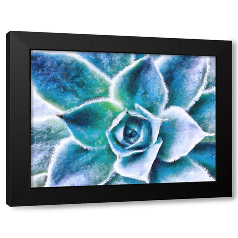 Afternoon Rush Black Modern Wood Framed Art Print with Double Matting by Lavoie, Tina