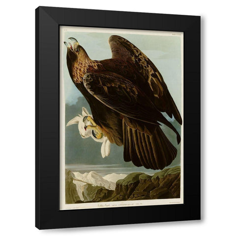 Golden Eagle Black Modern Wood Framed Art Print by Vintage Apple Collection