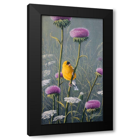 Goldfinch Black Modern Wood Framed Art Print with Double Matting by Goebel, Wilhelm