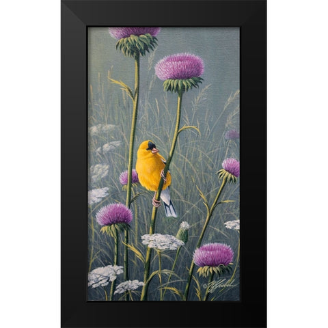 Goldfinch Black Modern Wood Framed Art Print by Goebel, Wilhelm