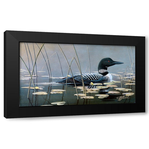 Loon In Reeds Black Modern Wood Framed Art Print with Double Matting by Goebel, Wilhelm