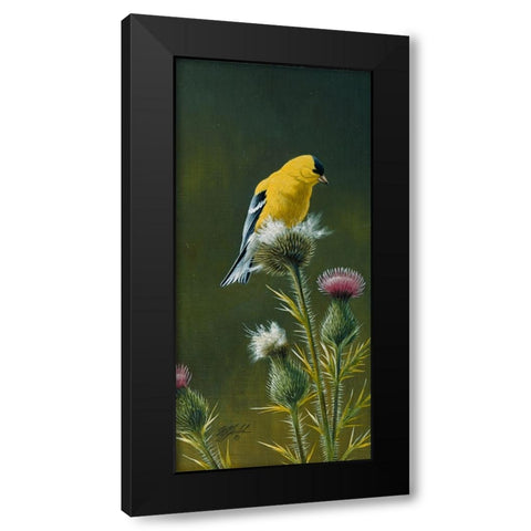 Goldfinch On Thistle Black Modern Wood Framed Art Print by Goebel, Wilhelm