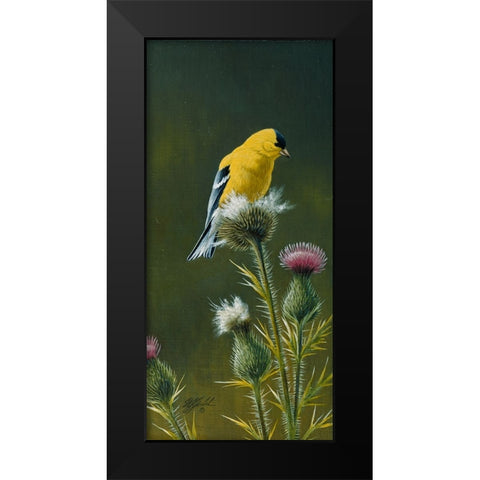 Goldfinch On Thistle Black Modern Wood Framed Art Print by Goebel, Wilhelm