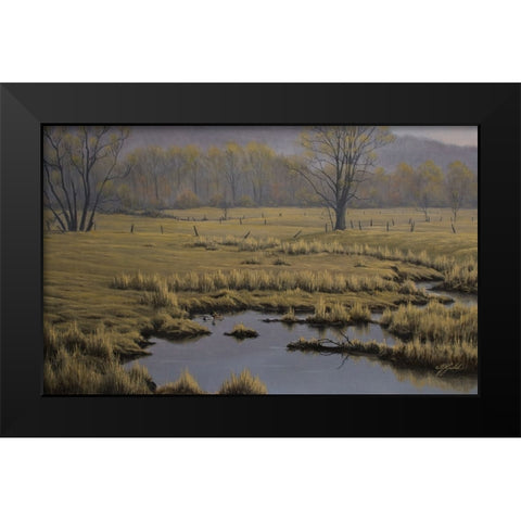 Spring Pasture - Mallard Pair Black Modern Wood Framed Art Print by Goebel, Wilhelm