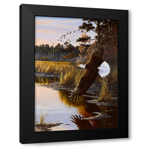 Wings Of Autumn - Bald Eagle Black Modern Wood Framed Art Print with Double Matting by Goebel, Wilhelm