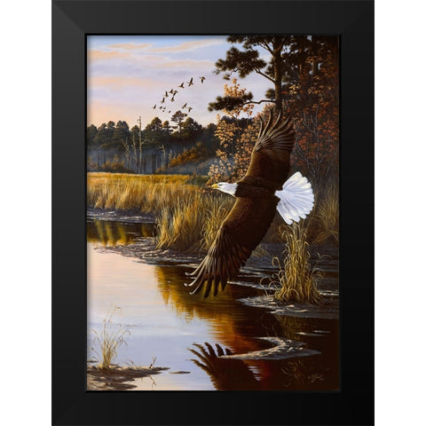 Wings Of Autumn - Bald Eagle Black Modern Wood Framed Art Print by Goebel, Wilhelm