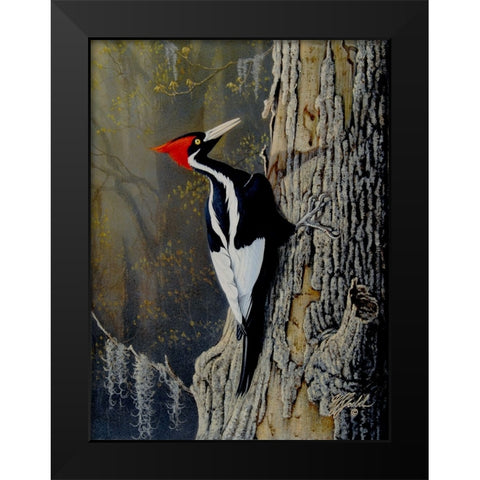Ivory Bill Black Modern Wood Framed Art Print by Goebel, Wilhelm