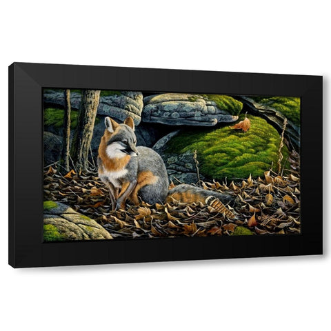 Grey Fox Black Modern Wood Framed Art Print with Double Matting by Goebel, Wilhelm