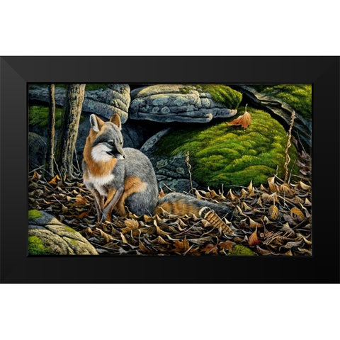 Grey Fox Black Modern Wood Framed Art Print by Goebel, Wilhelm