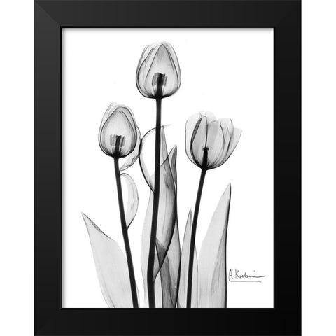 Tulips Black and White Black Modern Wood Framed Art Print by Koetsier, Albert