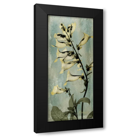 Golden Foxglove Black Modern Wood Framed Art Print by Koetsier, Albert