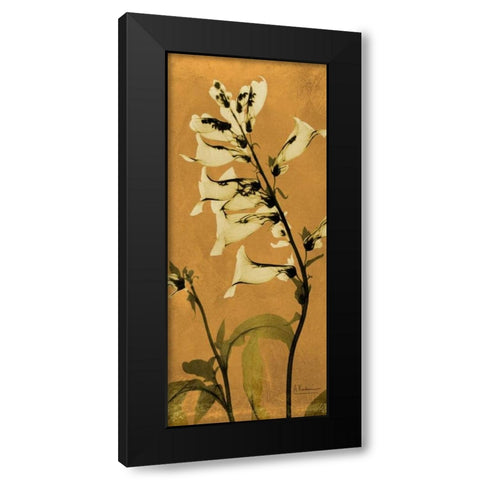 Golden Foxglove Black Modern Wood Framed Art Print by Koetsier, Albert