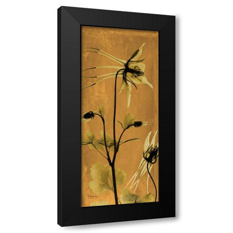 Columbine Black Modern Wood Framed Art Print by Koetsier, Albert