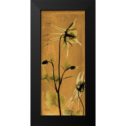 Columbine Black Modern Wood Framed Art Print by Koetsier, Albert