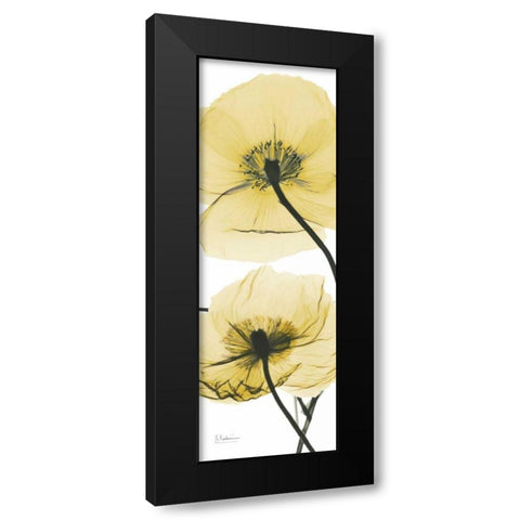 Iceland Poppy Yellow Black Modern Wood Framed Art Print by Koetsier, Albert