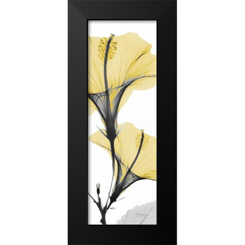 Hibiscus Yellow Black Modern Wood Framed Art Print by Koetsier, Albert