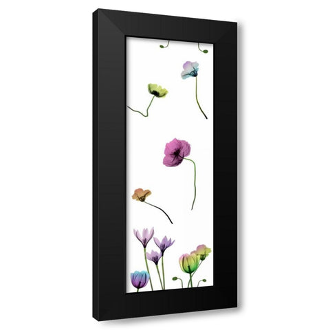 Floral Rainbow Pattern Black Modern Wood Framed Art Print by Koetsier, Albert
