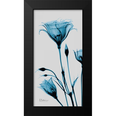 Blue Gentian Black Modern Wood Framed Art Print by Koetsier, Albert
