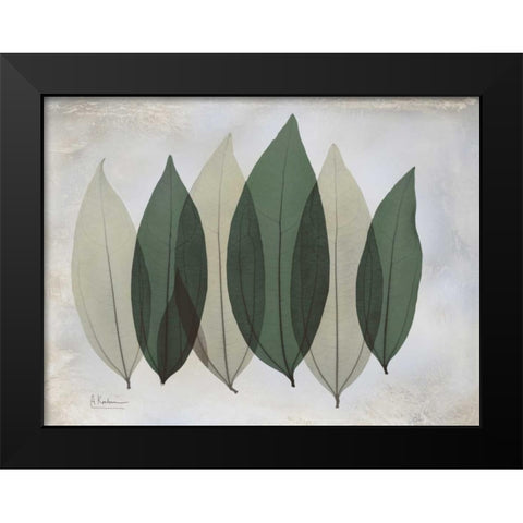 The Grays 1 Black Modern Wood Framed Art Print by Koetsier, Albert