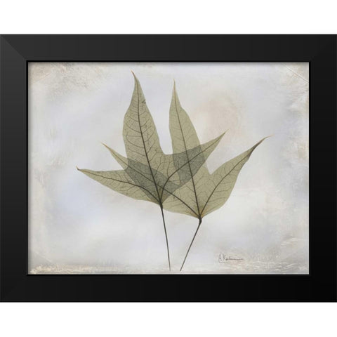 Trident Maple E217 Black Modern Wood Framed Art Print by Koetsier, Albert