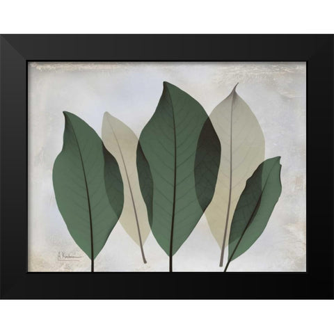 The Grays 3 Black Modern Wood Framed Art Print by Koetsier, Albert