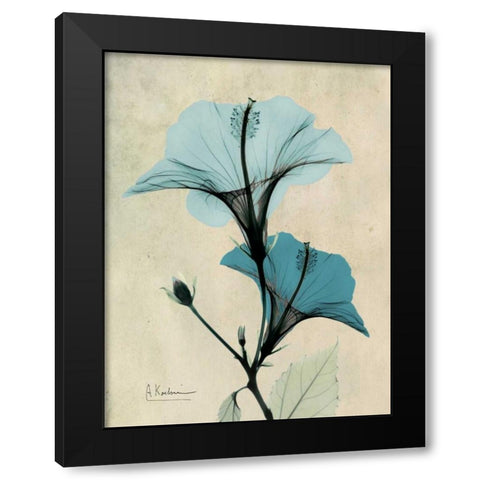 Hibiscus Black Modern Wood Framed Art Print with Double Matting by Koetsier, Albert