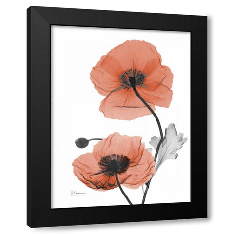 Soft Poppy Black Modern Wood Framed Art Print with Double Matting by Koetsier, Albert