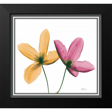 Composition IV Black Modern Wood Framed Art Print by Koetsier, Albert