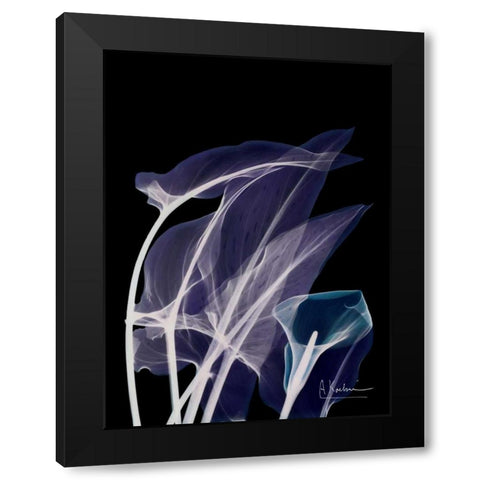 Lily Xray Black Modern Wood Framed Art Print by Koetsier, Albert