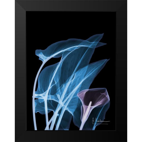 Blue Purple Calla Black Modern Wood Framed Art Print by Koetsier, Albert