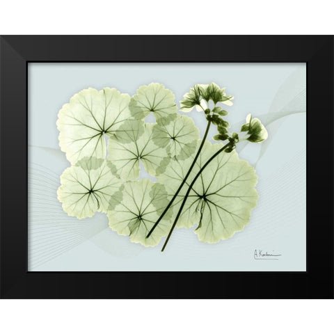 Geranium L48 Black Modern Wood Framed Art Print by Koetsier, Albert
