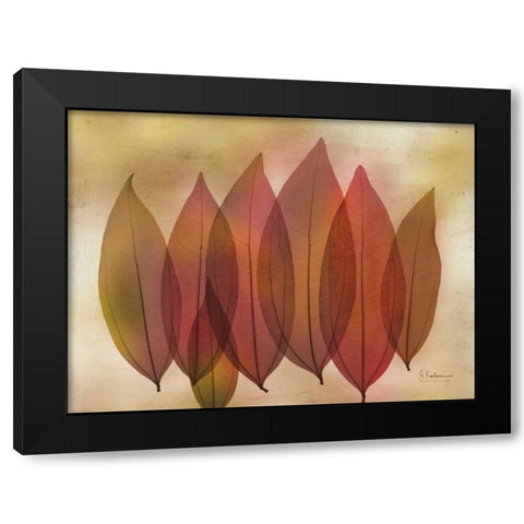 Harvest Light 1 Black Modern Wood Framed Art Print with Double Matting by Koetsier, Albert