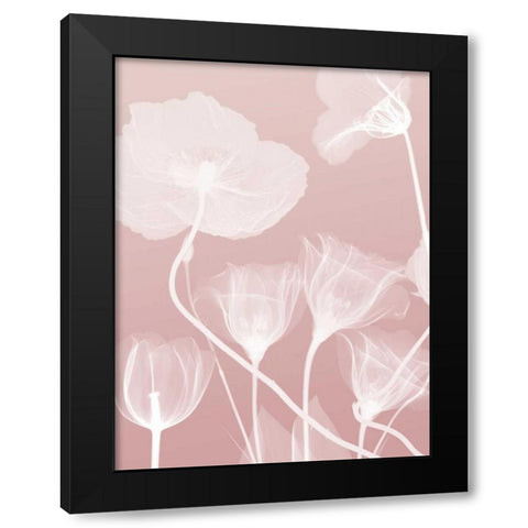 Pink Flora 1 Black Modern Wood Framed Art Print with Double Matting by Koetsier, Albert