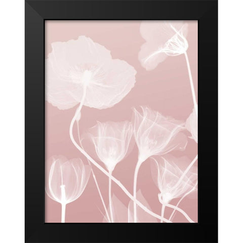Pink Flora 1 Black Modern Wood Framed Art Print by Koetsier, Albert