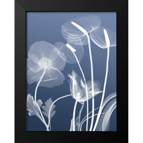 Transparent Flora 6 Black Modern Wood Framed Art Print by Koetsier, Albert