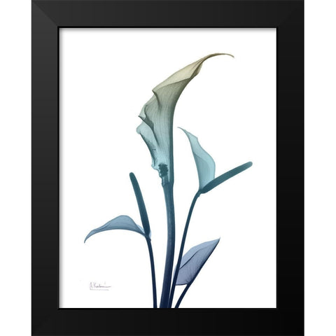 Ombre Expression 4 Black Modern Wood Framed Art Print by Koetsier, Albert