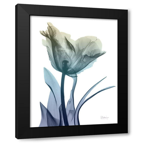 Ombre Expression 5 Black Modern Wood Framed Art Print by Koetsier, Albert