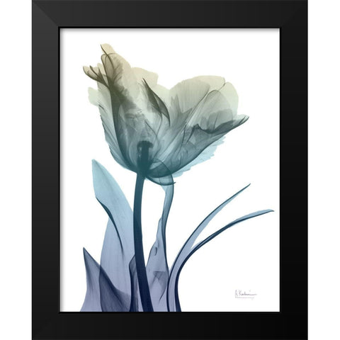 Ombre Expression 5 Black Modern Wood Framed Art Print by Koetsier, Albert