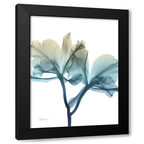 Ombre Expression 8 Black Modern Wood Framed Art Print by Koetsier, Albert