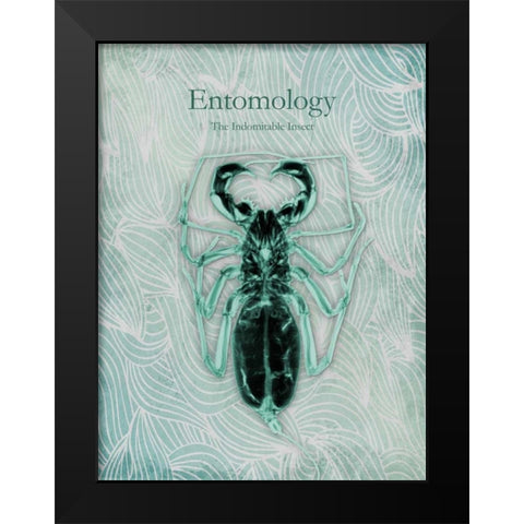 Indomitable Insect Black Modern Wood Framed Art Print by Koetsier, Albert