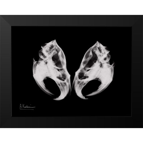 Ondatra Twins Black Modern Wood Framed Art Print by Koetsier, Albert