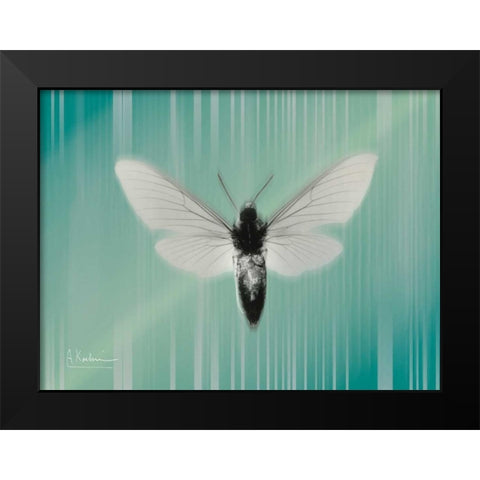 Manduca The Pilot Black Modern Wood Framed Art Print by Koetsier, Albert