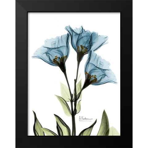 Gentian Sapphire NuetBlue Black Modern Wood Framed Art Print by Koetsier, Albert