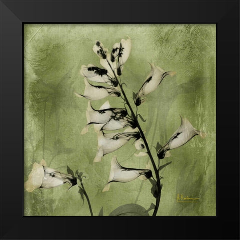 Golden Fox Glove Black Modern Wood Framed Art Print by Koetsier, Albert